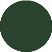 Dark Green Formal Dresses